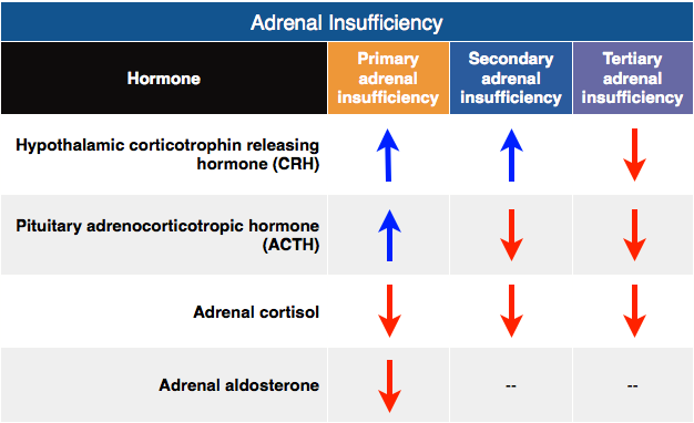 A chart with arrows pointing to different types of adrenal insufficiencyDescription automatically generated