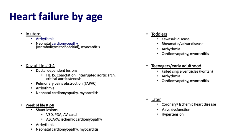 A close-up of a list of medical informationDescription automatically generated