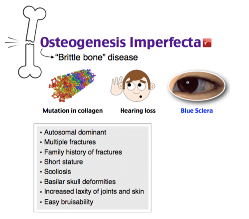 A close-up of a medical informationDescription automatically generated