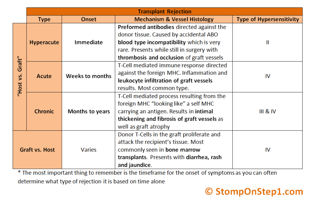 A close-up of a medical reportDescription automatically generated