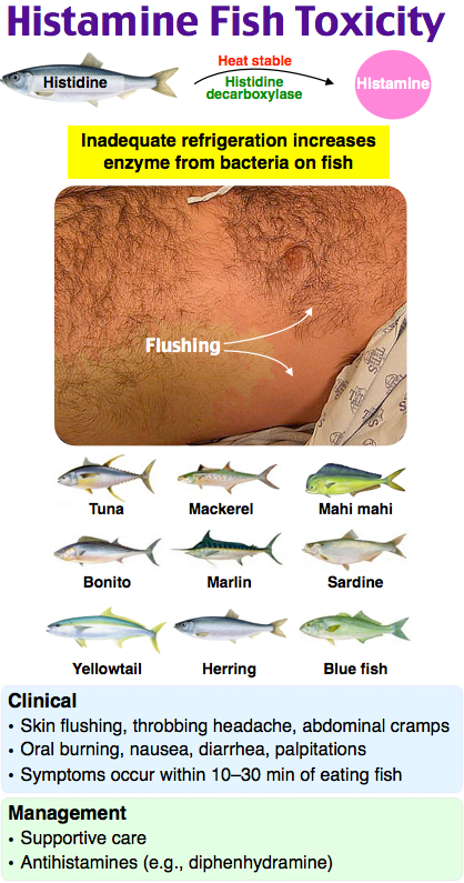 A close-up of a person's stomachDescription automatically generated