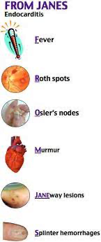 A close-up of several images of human organsDescription automatically generated