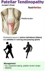 A diagram of a human bodyDescription automatically generated