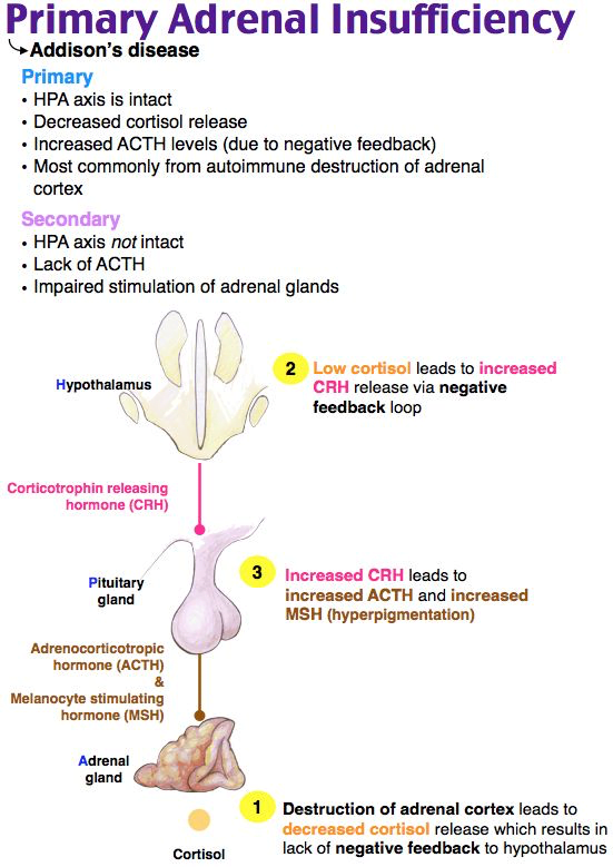 A diagram of a human bodyDescription automatically generated