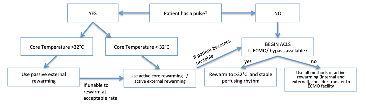 A diagram of a patientDescription automatically generated