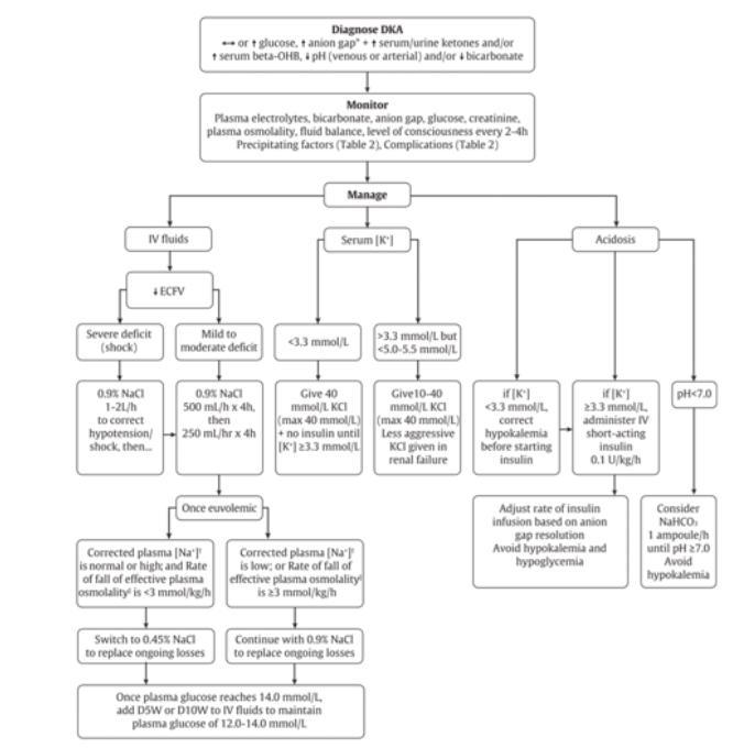 A diagram of a patient's flowDescription automatically generated