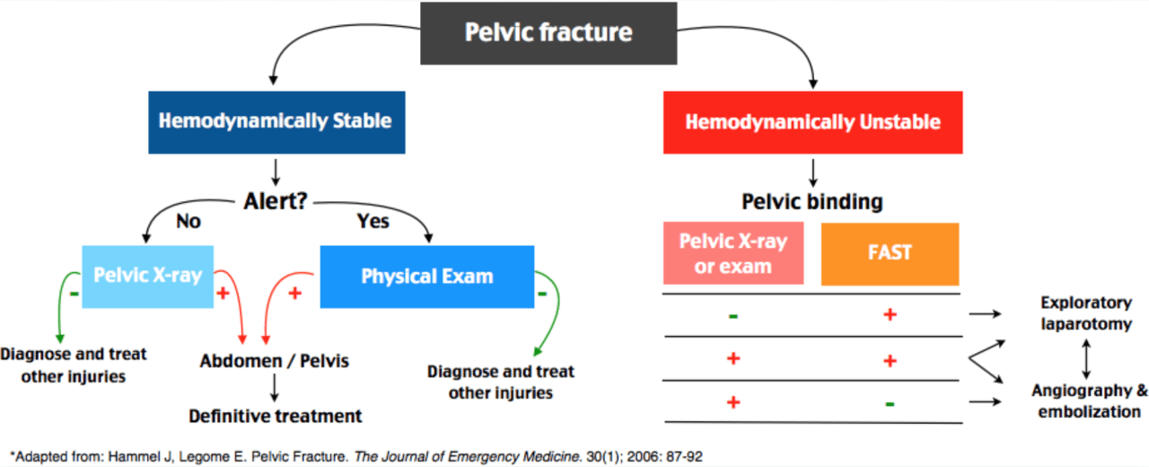 A diagram of pelvic fractureDescription automatically generated