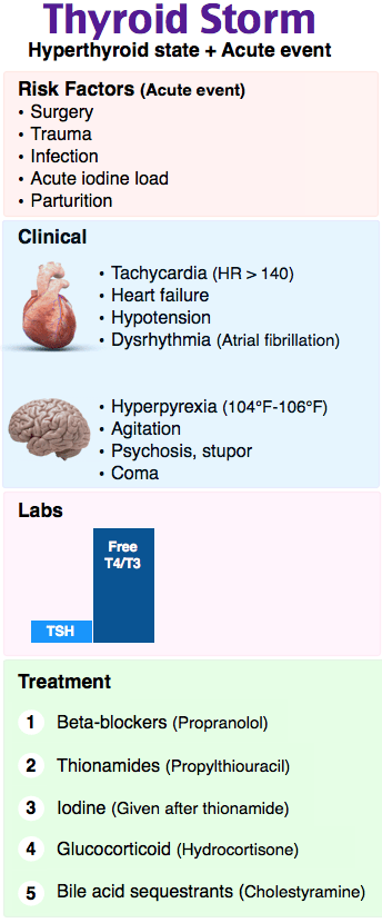 A screenshot of a cell phoneDescription automatically generated