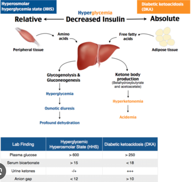 A screenshot of a diagramDescription automatically generated