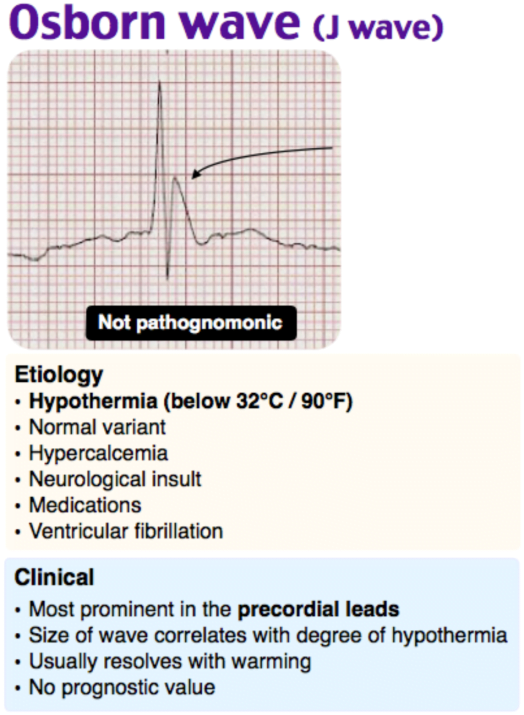 A screenshot of a medical chartDescription automatically generated