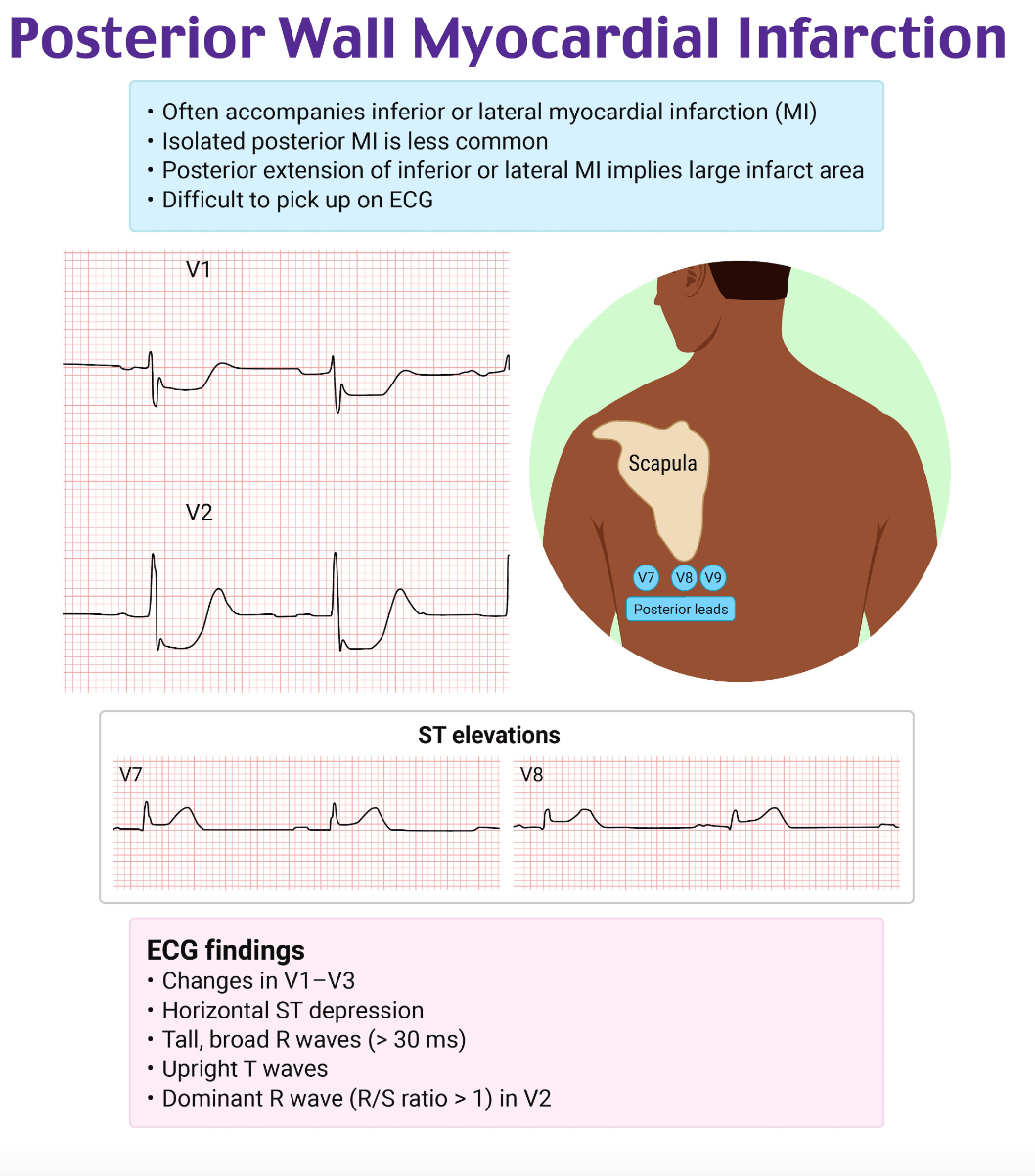 A screenshot of a medical chartDescription automatically generated