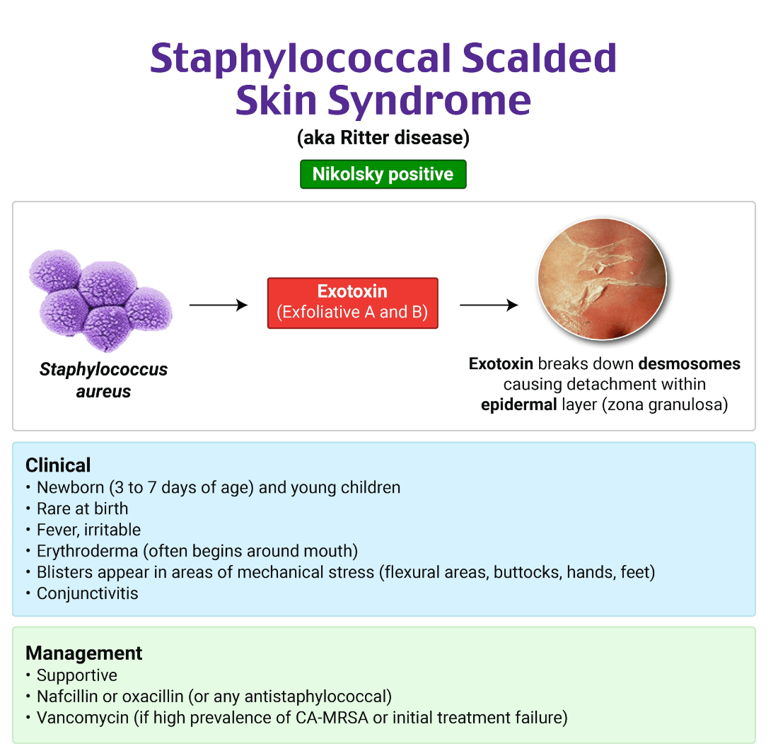 A screenshot of a medical informationDescription automatically generated