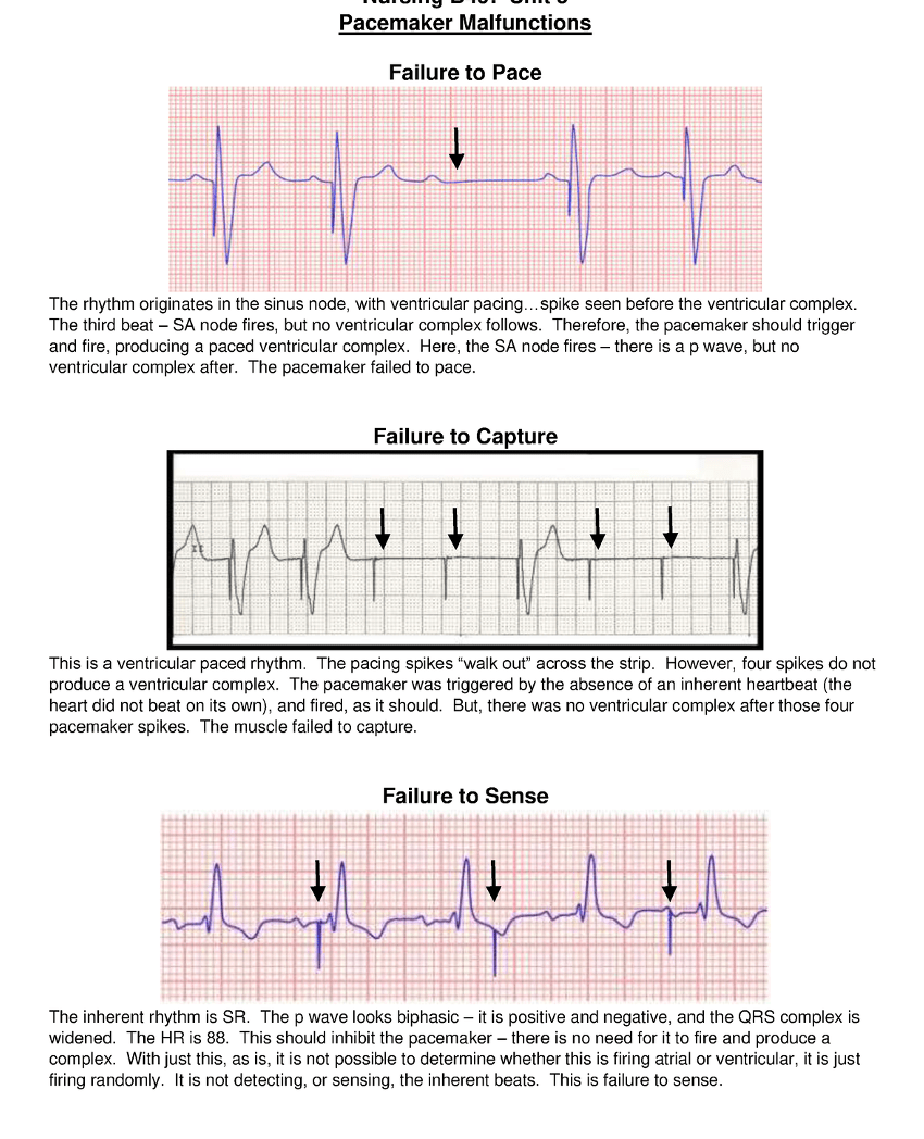 A screenshot of a medical reportDescription automatically generated