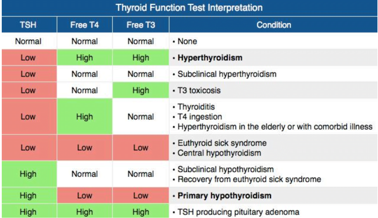 A screenshot of a medical testDescription automatically generated