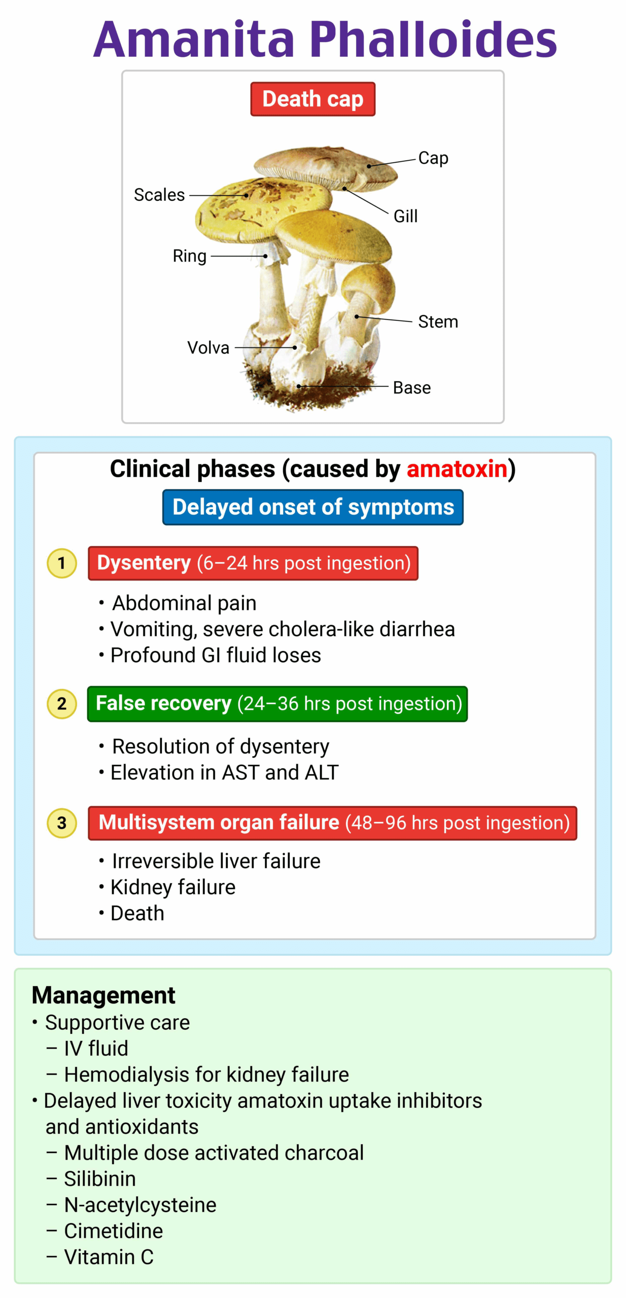 A screenshot of a medical testDescription automatically generated