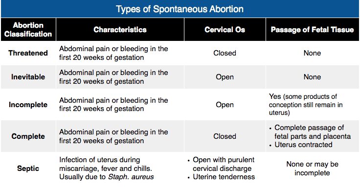 A table with text on itDescription automatically generated