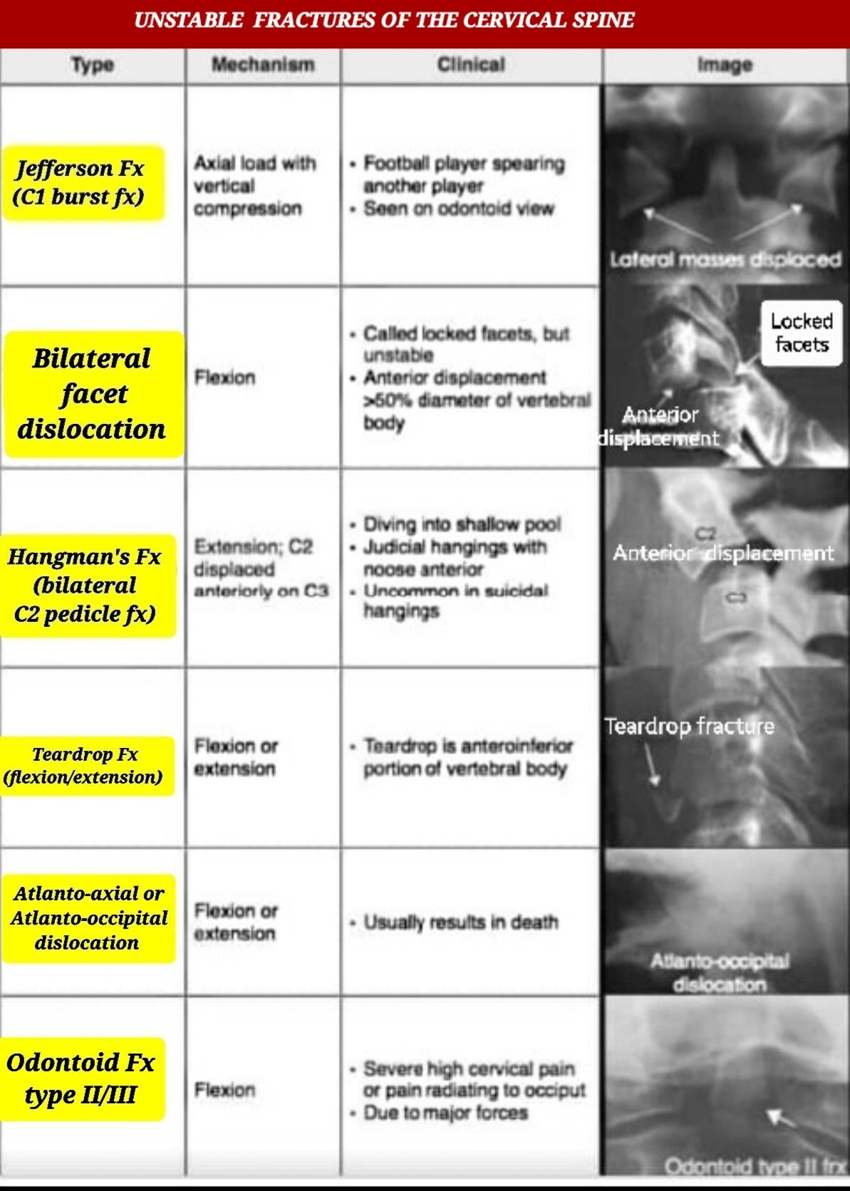 A table with x-ray imagesDescription automatically generated
